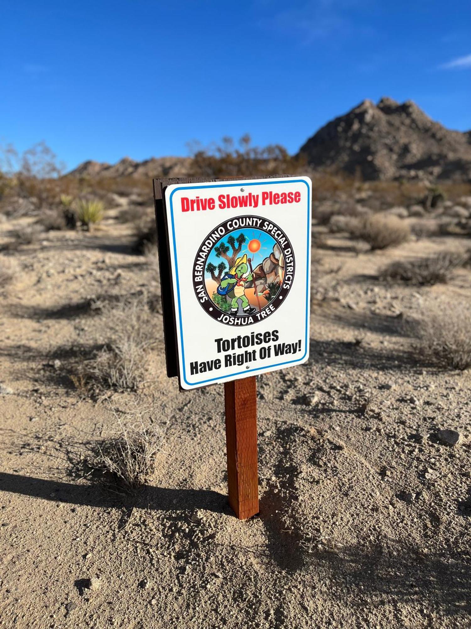 The Joshua Tree Houseヴィラ エクステリア 写真