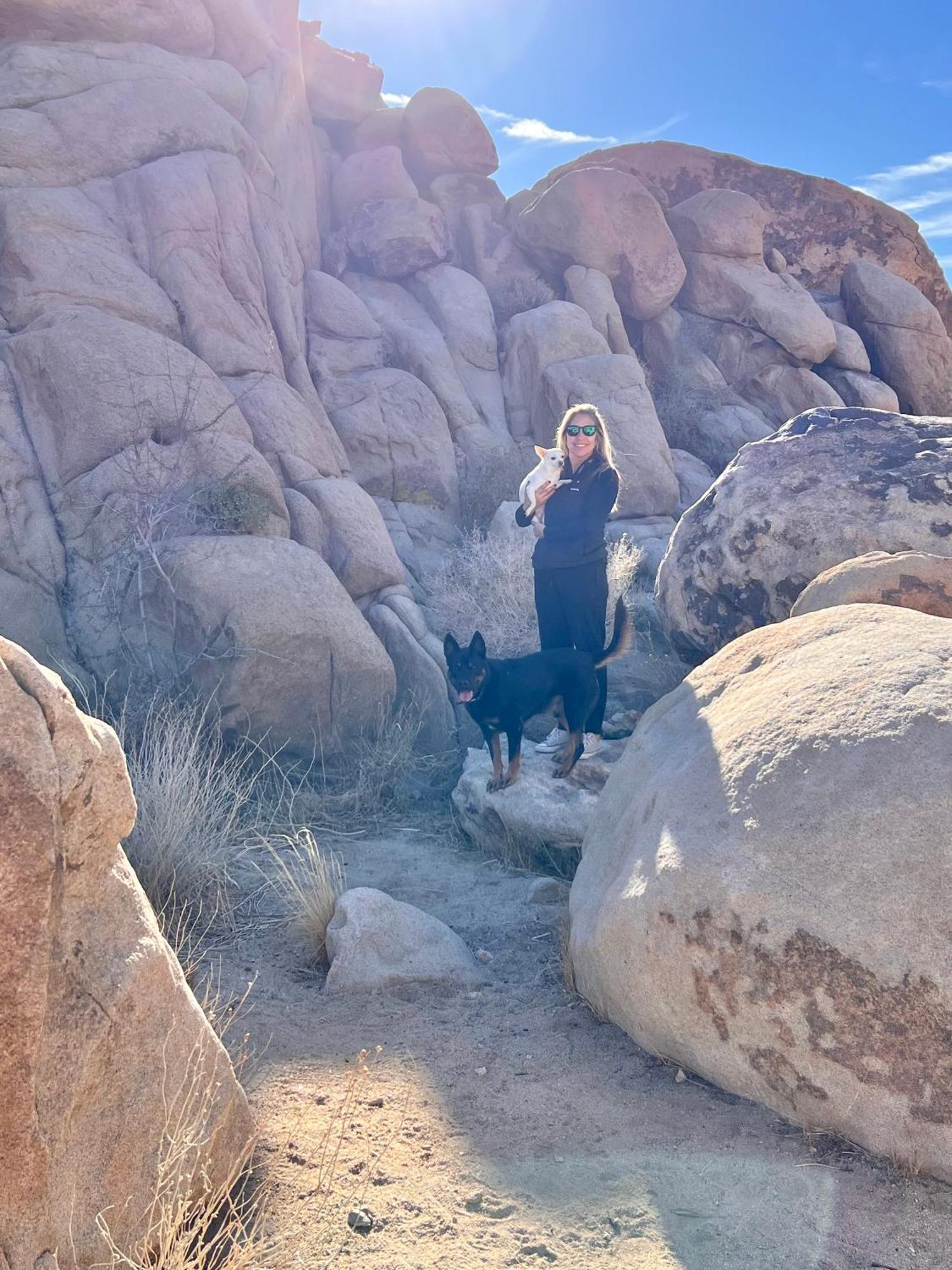 The Joshua Tree Houseヴィラ エクステリア 写真