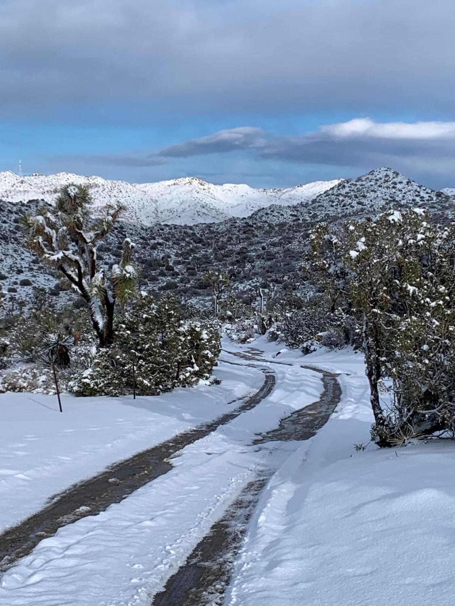 The Joshua Tree Houseヴィラ エクステリア 写真