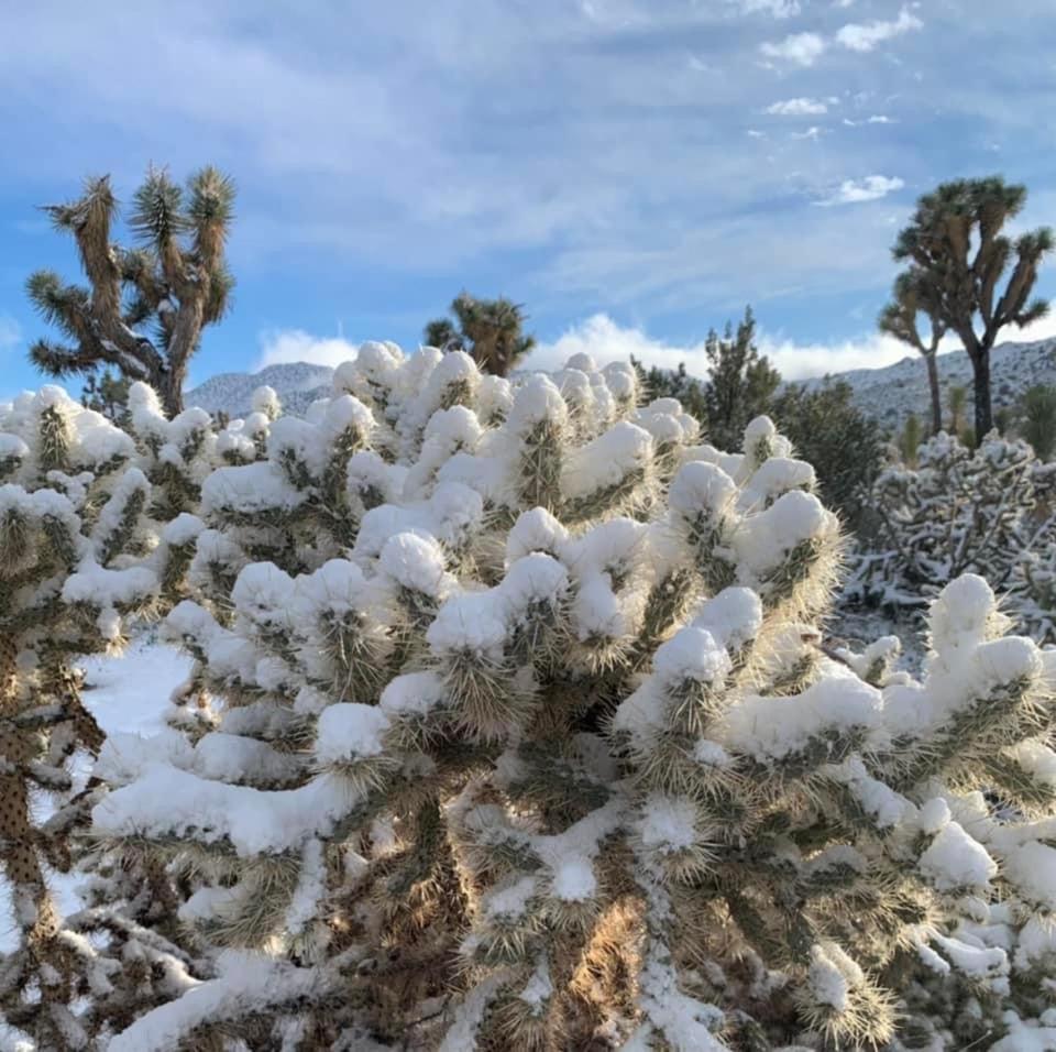 The Joshua Tree Houseヴィラ エクステリア 写真