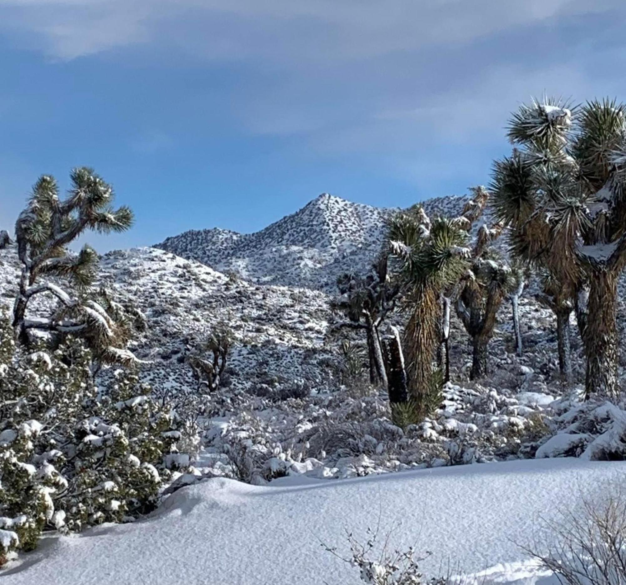 The Joshua Tree Houseヴィラ エクステリア 写真